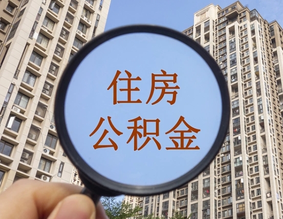 肇庆退休后查不到公积金明细了吗（退休后公积金查询不到原因）